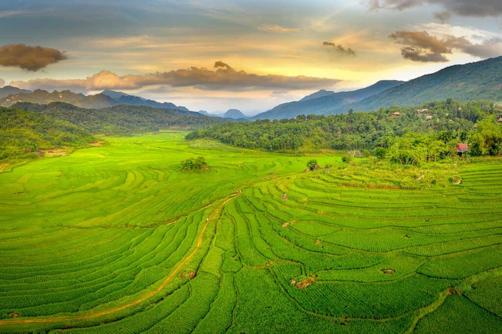 Lush green rice terraces and peaceful valleys in Pu Luong Nature Reserve — a hidden gem often included in Vietnam package tours for its authentic countryside charm.