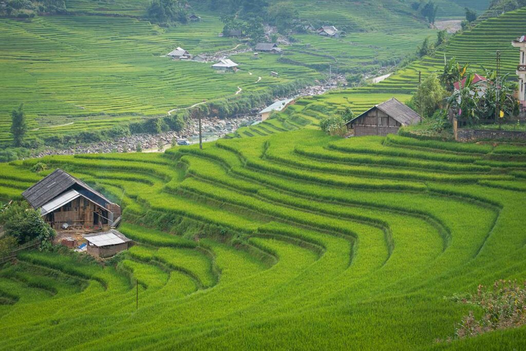 Green rice terraces and wooden stilt houses in Sapa – a must-see landscape during a Vietnam package tour through the northern mountains.