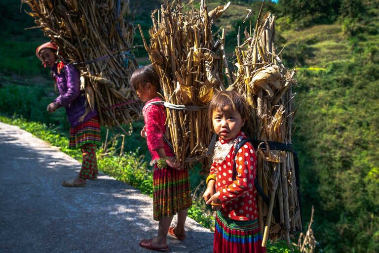 Ethnic minority children carrying corn stalks in the mountains of Ha Giang, daily life scenes seen along the Ha Giang Loop tour