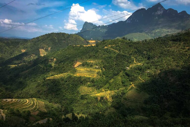 Terraced rice fields along Nham La Pass on the Ha Giang Loop, seen from a scenic viewpoint during a jeep or car tour through remote mountain landscapes