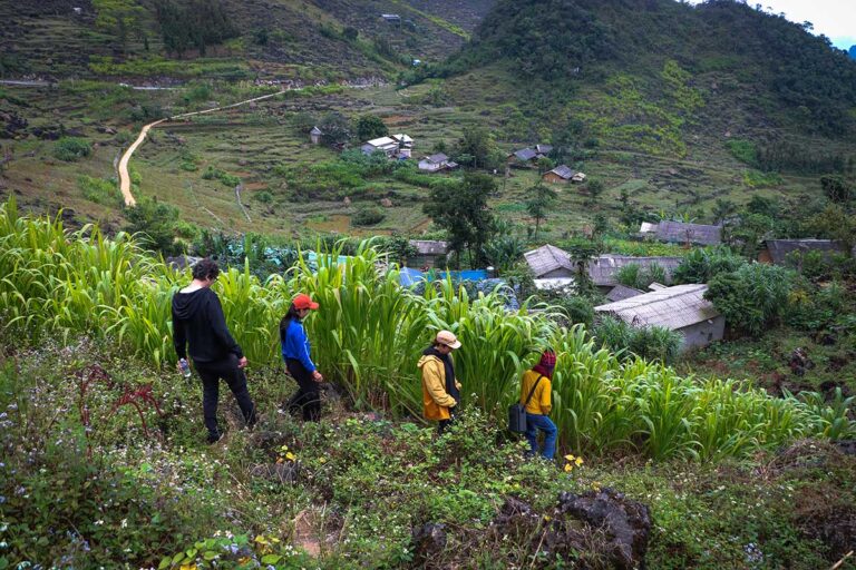 Guided trekking near Ha Giang Aya Lodge, walking through mountain fields and remote villages along the Ha Giang Loop