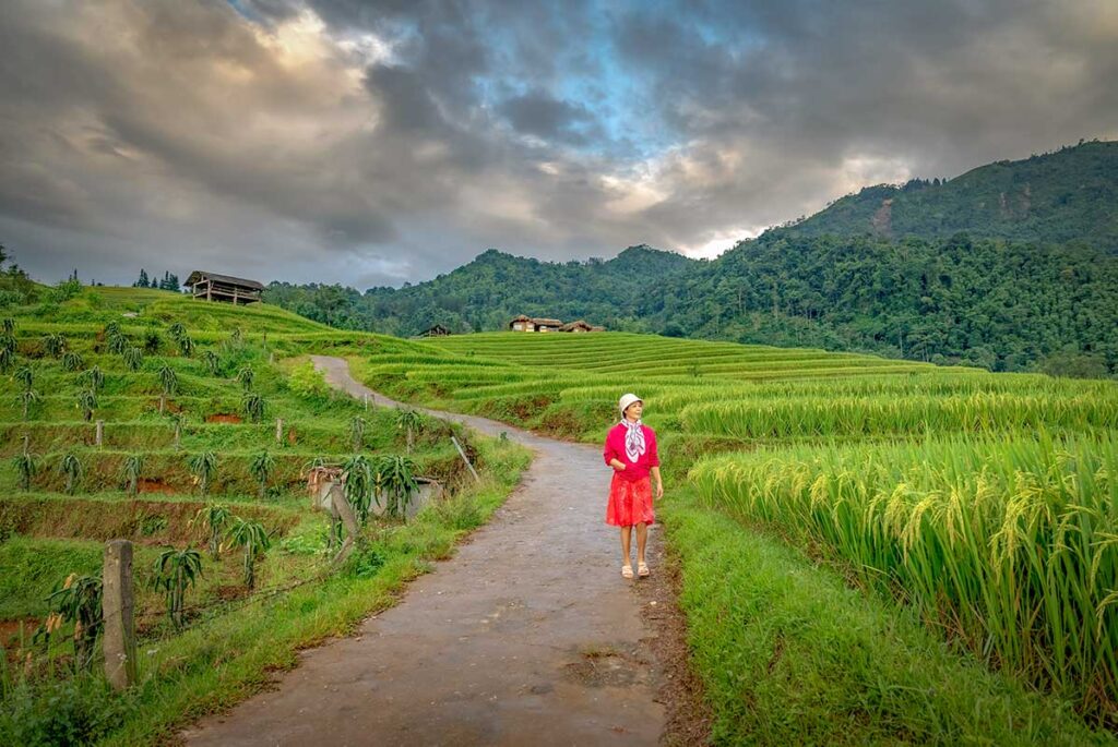 Vietnam slow travel holidays with easy countryside walks through rice fields and villages, focusing on gentle exploration and local life in Vietnam
