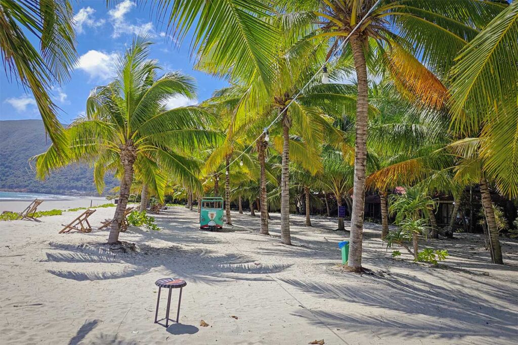 Outdoor seating area at Con Dao Resort near the beach with palm trees, tables, and ocean view