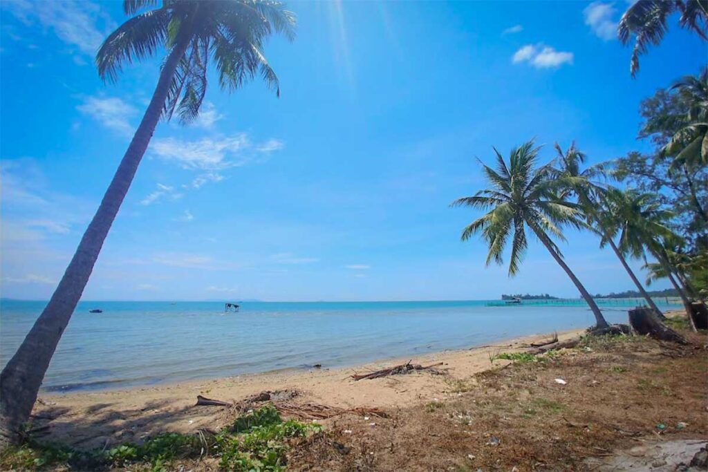 Palm lined sandy shore at Bai Thom Beach Phu Quoc with calm sea and quiet tropical atmosphere