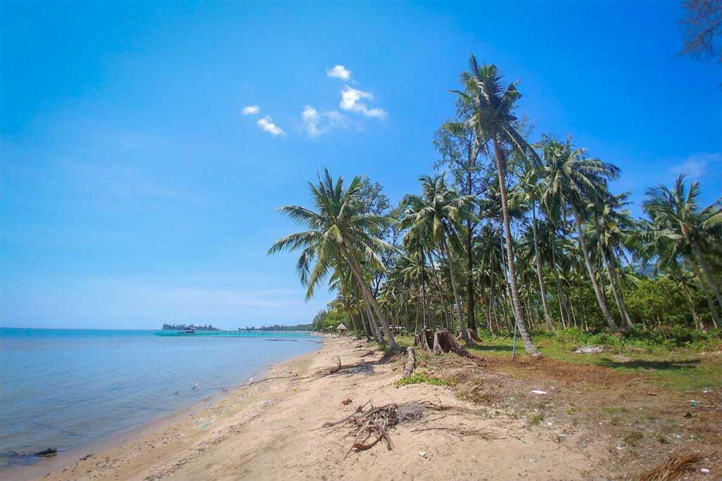 Quiet palm lined shore at Bai Thom Beach Phu Quoc with shallow sea and remote tropical coastline