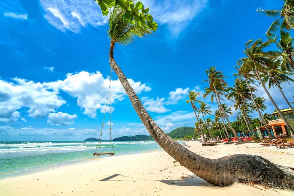 Palm tree swing on Sao Beach Phu Quoc with white sand blue water and beachfront loungers