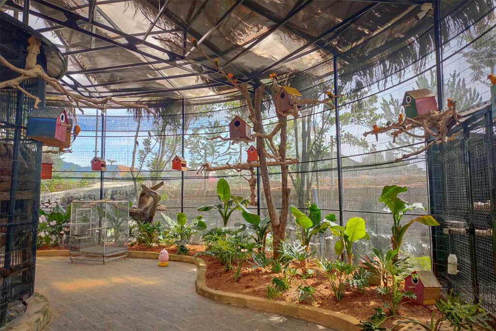Bird enclosure at Mongo Land Dalat with small colorful birdhouses and tropical plants inside a netted structure
