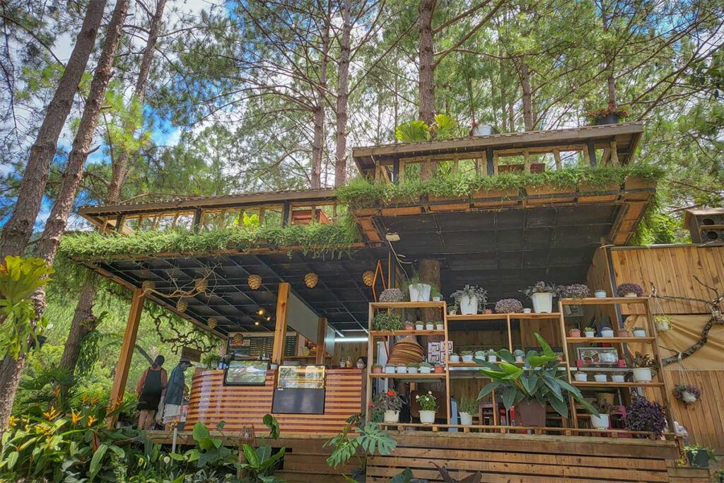 Wooden café surrounded by pine trees at Cao Nguyen Hoa in Da Lat, with plants and seating areas inside the Dalat Flower Plateau Ecotourism Area