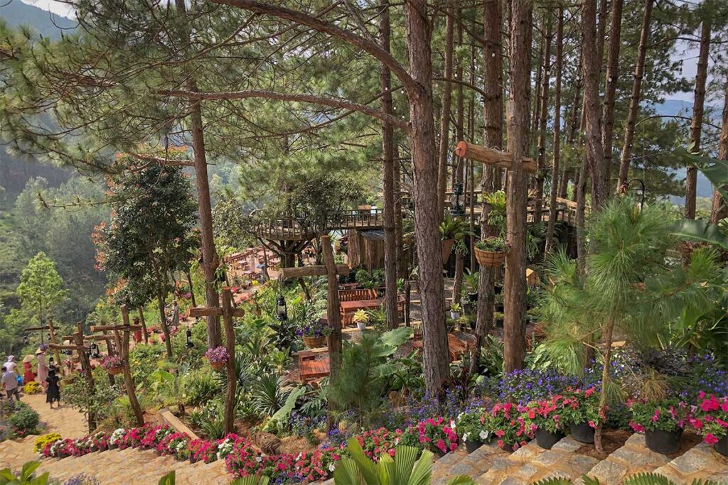 hillside views at the Dalat Flower Plateau Ecotourism Area