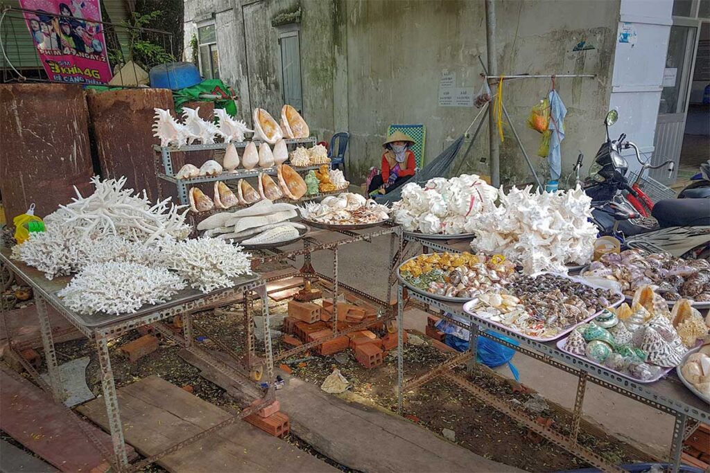 Coral and shell souvenir stall in Ham Ninh fishing village Phu Quoc with local seaside decorations
