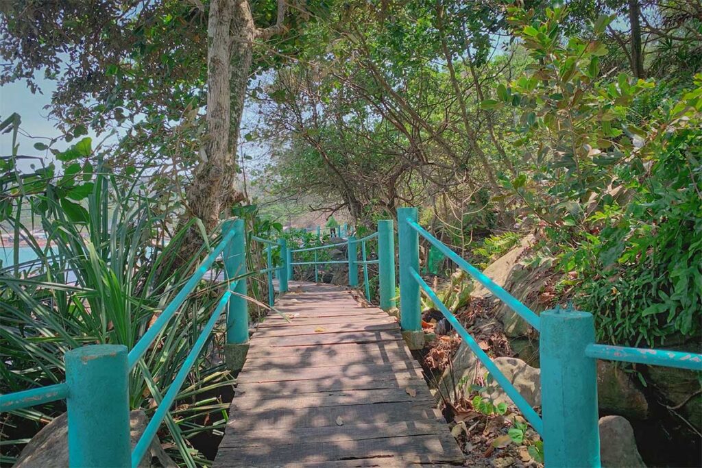 Wooden walkway through tropical trees near Ganh Dau Cape Phu Quoc leading to the rocky coast