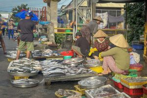 Fresh fish market in Ham Ninh fishing village Phu Quoc with local vendors selling seafood