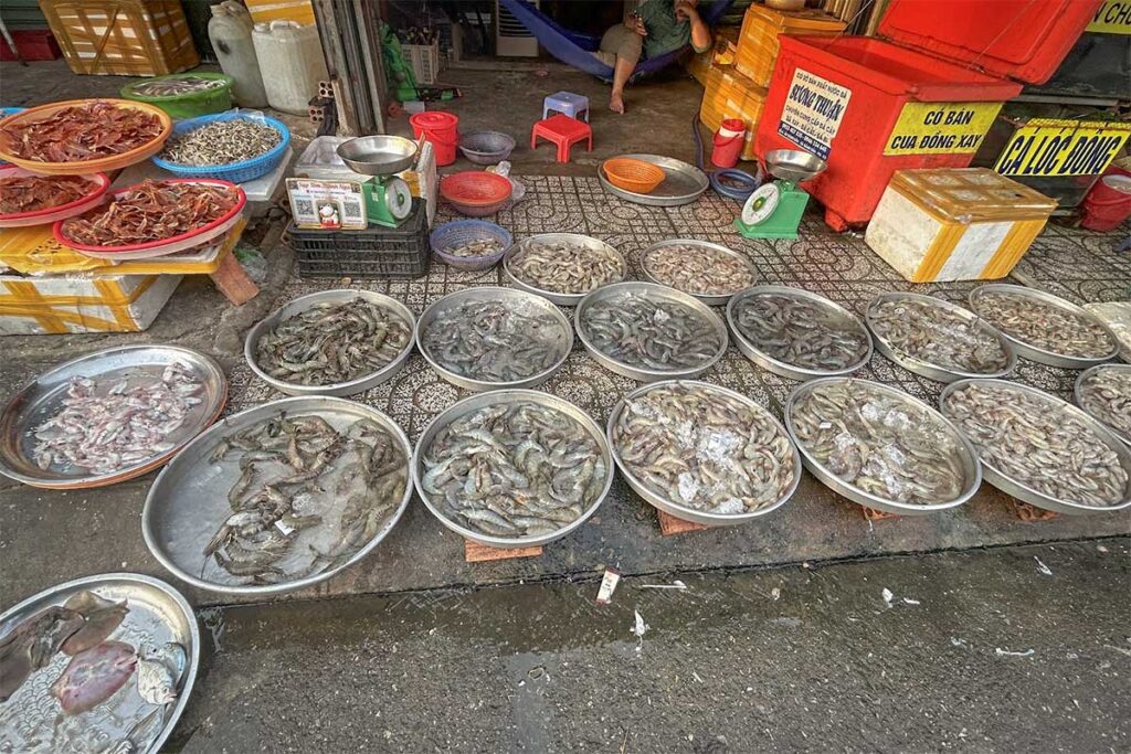 Fresh seafood stall at Ganh Dau Market Phu Quoc with shrimp squid and local fish
