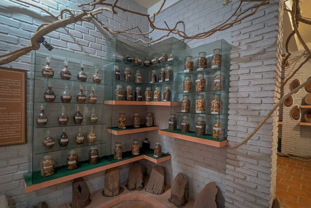 Glass jars with preserved wood and botanical specimens inside Coi Nguon Museum Phu Quoc forest display section