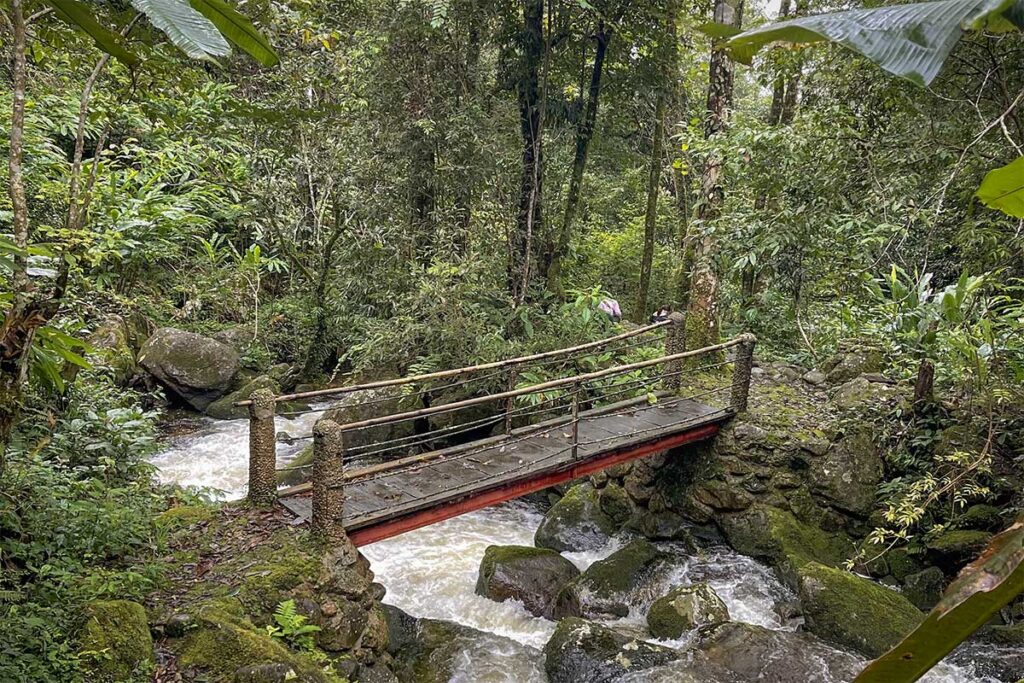 Small bridge over a forest stream on the path to Heart Waterfall in Sin Suoi Ho village