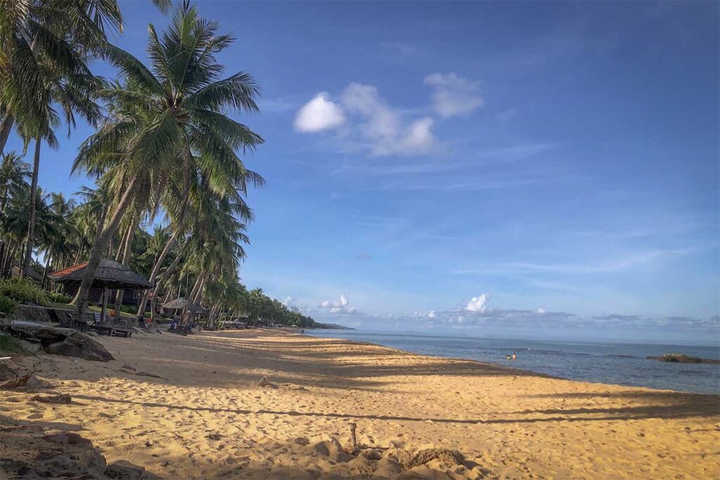 Long Beach Bai Truong Phu Quoc central section with golden sand palm trees calm sea and quiet tropical shoreline