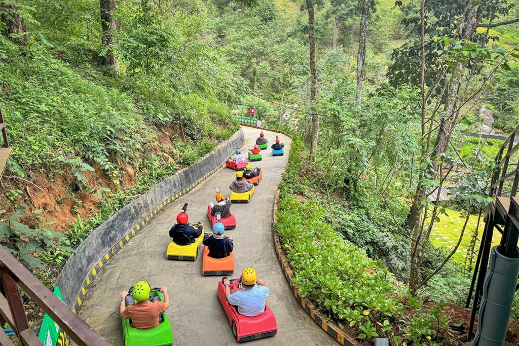 Downhill luge track at Mario Kart Dalat running through dense greenery and forest, with riders navigating a long curved section