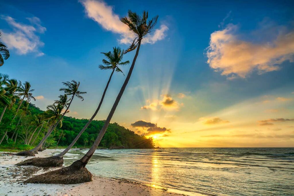 Sunrise at Sao Beach Phu Quoc with leaning palm trees white sand and calm sea views