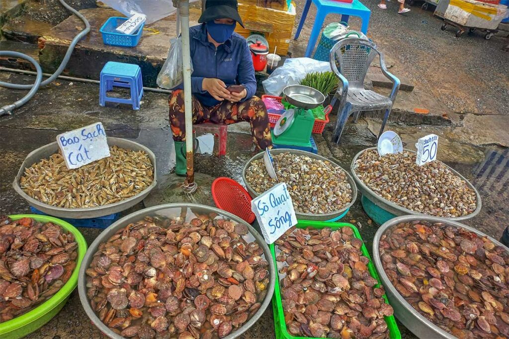 Fresh shellfish and sea snails for sale at Duong Dong Market in Phu Quoc