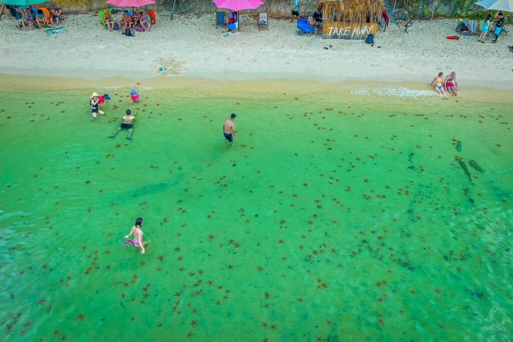 Aerial view of tourists and starfish in shallow green water at Starfish Beach Rach Vem Phu Quoc