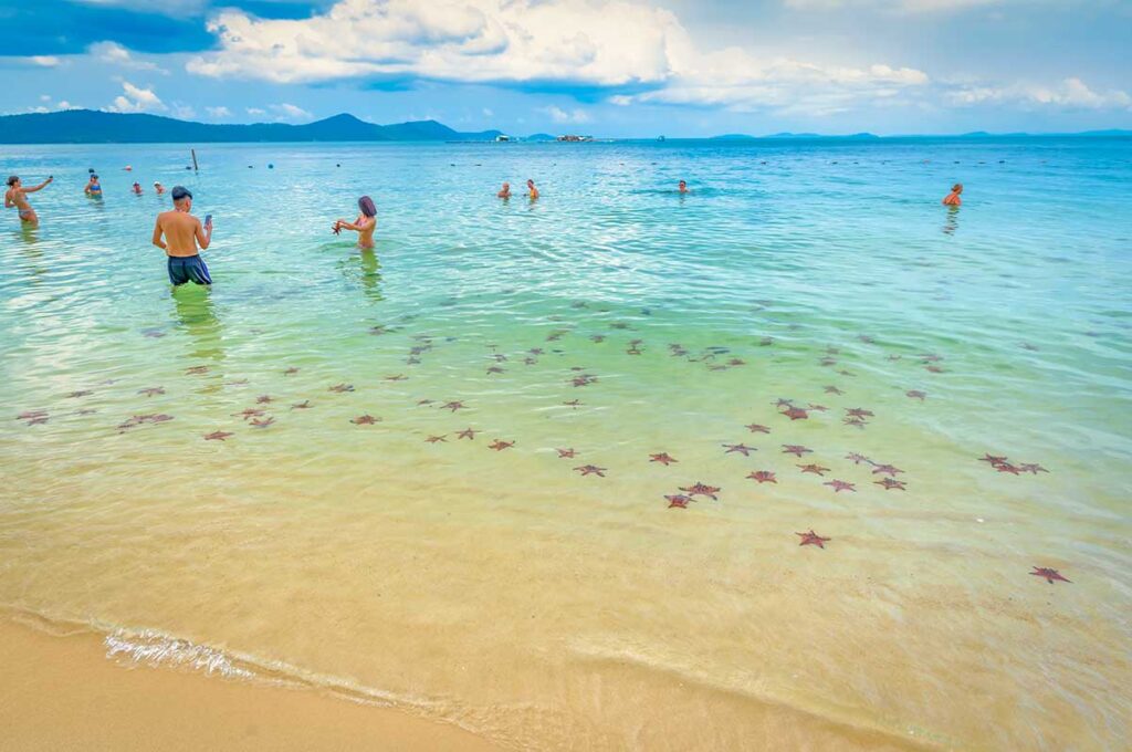 Visitors standing in shallow sea surrounded by starfish at Starfish Beach Phu Quoc Rach Vem