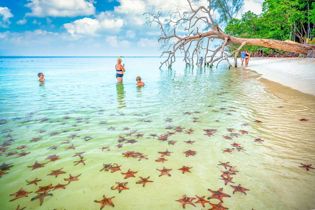 Visitors standing in shallow sea surrounded by starfish at Starfish Beach Phu Quoc Rach Vem