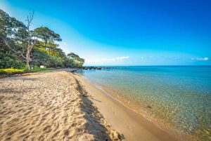 Clear shallow water and sandy coastline at Vung Bau Beach Phu Quoc with tropical forest in the background