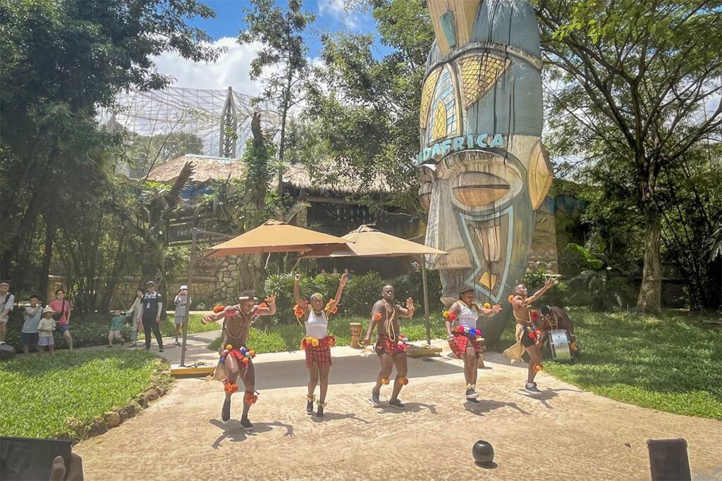 African Zulu dance performance at Vinpearl Safari Phu Quoc with dancers performing in traditional costumes outdoors