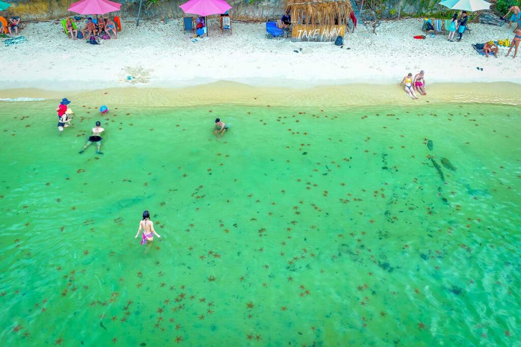 Families and children spotting starfish at Rach Vem Starfish Beach in Phu Quoc