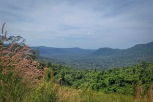 Panoramic view over the forested hills and valleys of Phu Quoc National Park, with wild grass in the foreground and jungle-covered mountains stretching to the horizon