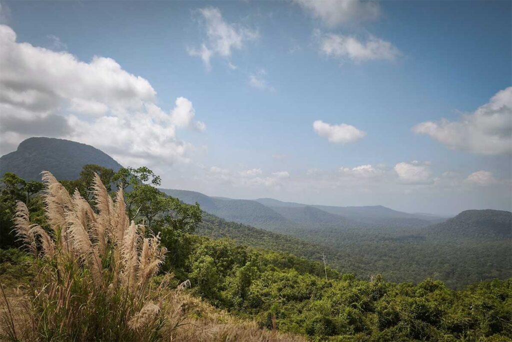 Wide view over the unbroken jungle and mountain ridges of Phu Quoc National Park, showing how much of the island remains covered by untouched tropical forest