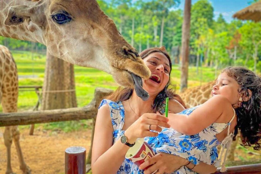 Family feeding a giraffe at the popular giraffe feeding area in Vinpearl Safari Phu Quoc
