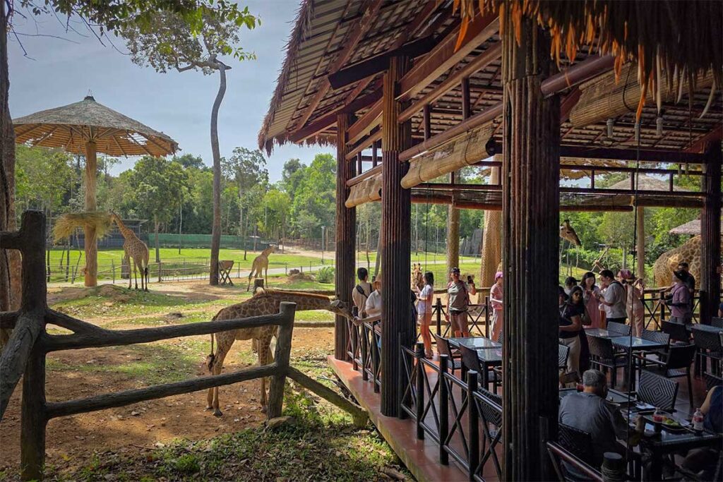 Visitors dining and feeding giraffes at the Giraffe Restaurant in Vinpearl Safari Phu Quoc surrounded by tropical greenery and open safari enclosures