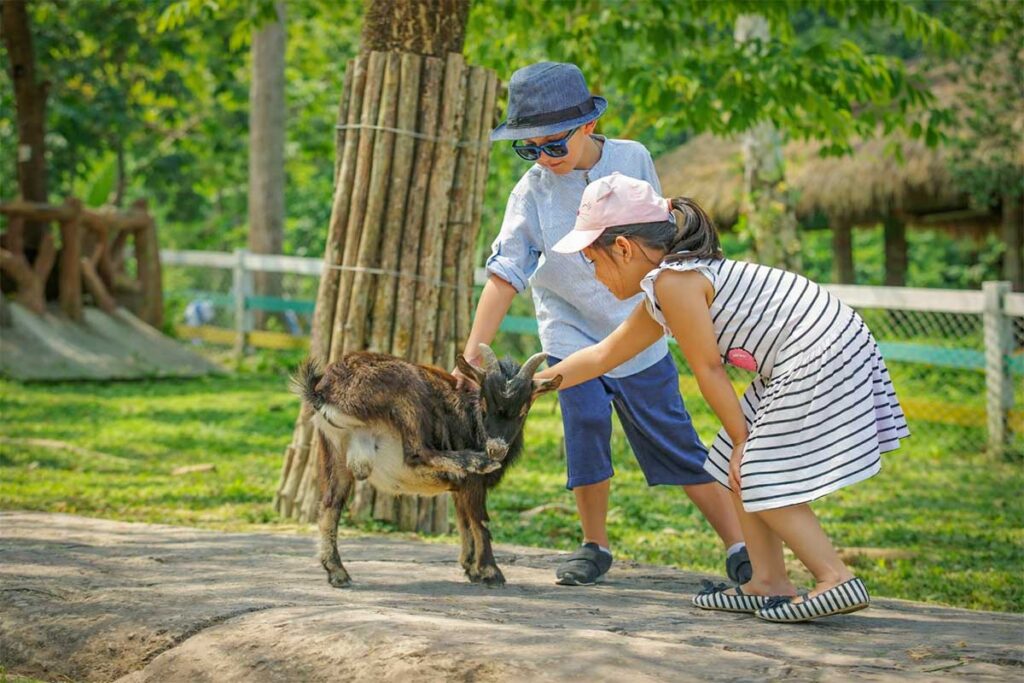 Children petting and feeding a small goat at the KidZoo area in Vinpearl Safari Phu Quoc