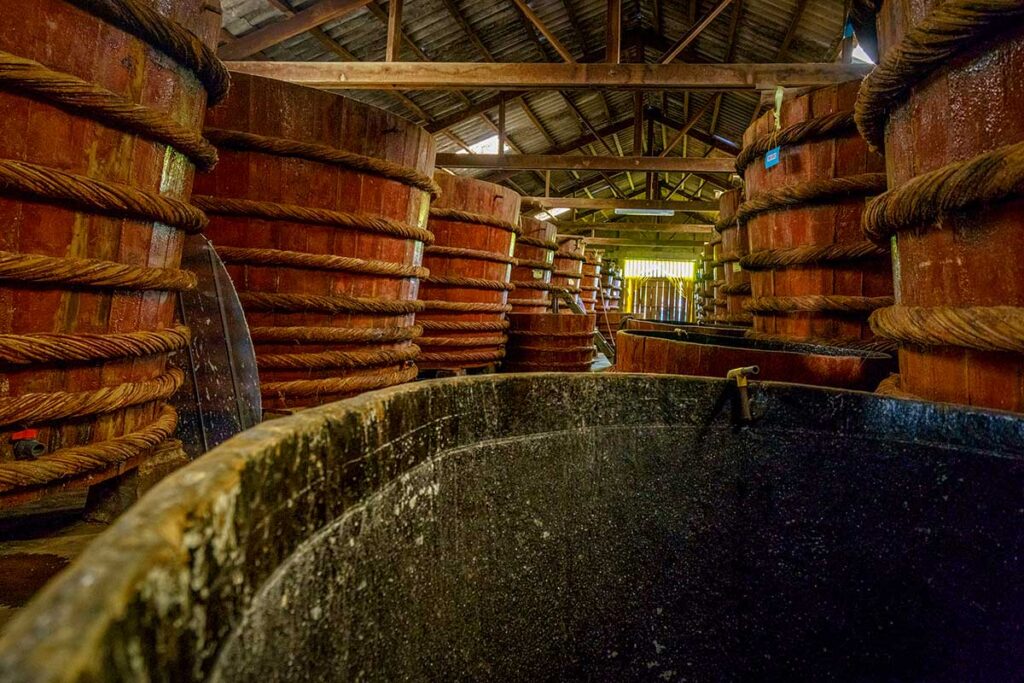 Rows of large traditional wooden barrels inside a Phu Quoc fish sauce factory, used to ferment anchovies into Vietnamese fish sauce.