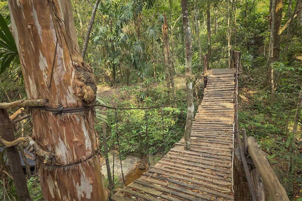 Rustic rope suspension bridge over a jungle stream on a hiking trail in Phu Quoc National Park, surrounded by palm trees and dense tropical vegetation