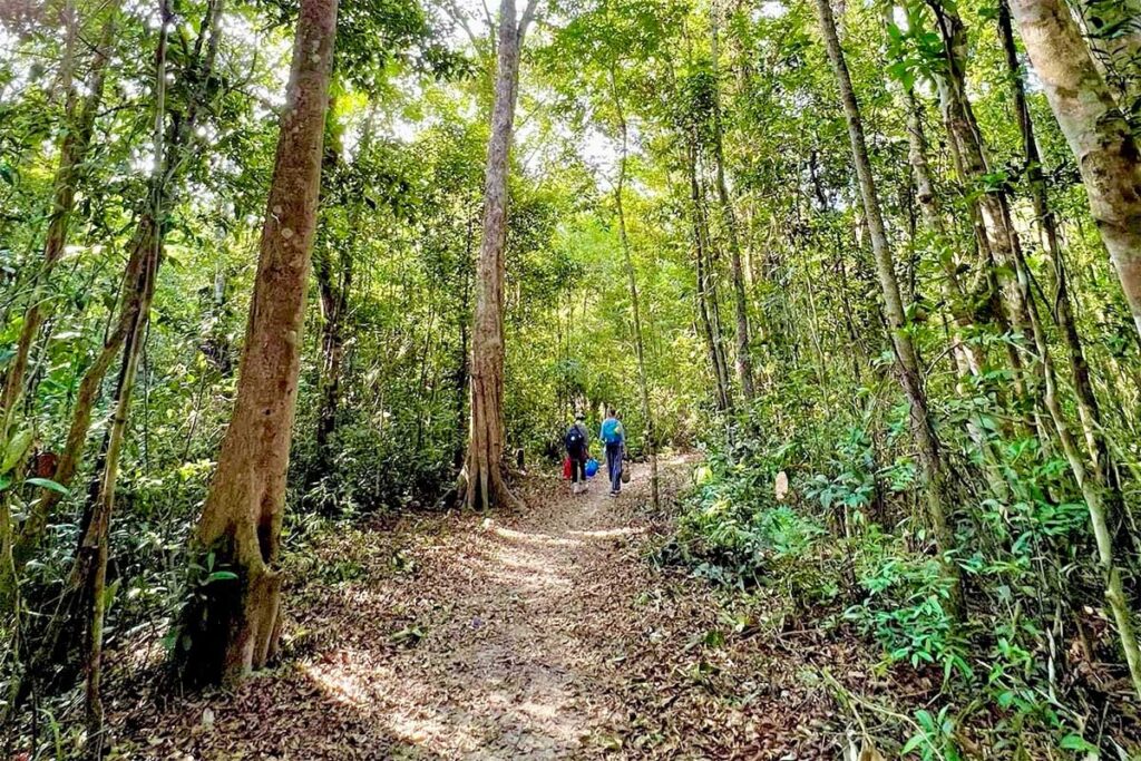 Two hikers walking a dirt path through tall trees in Phu Quoc National Park, surrounded by dense tropical forest on a self-guided nature trail