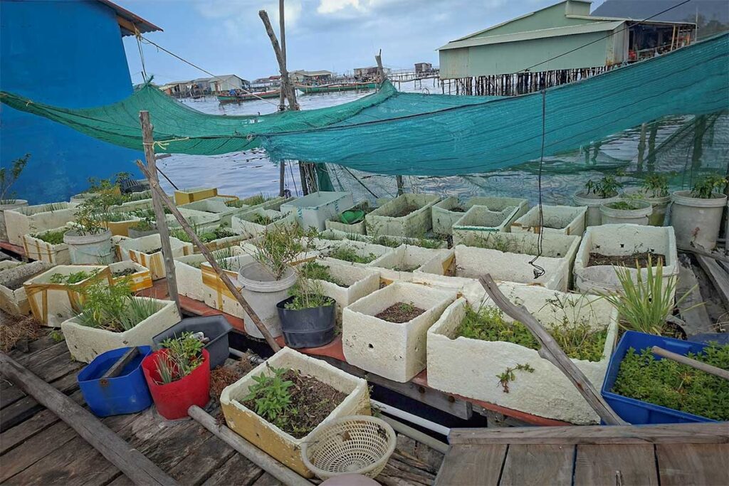 Small floating gardens and houses built over the water at Rach Vem Fishing Village in Phu Quoc