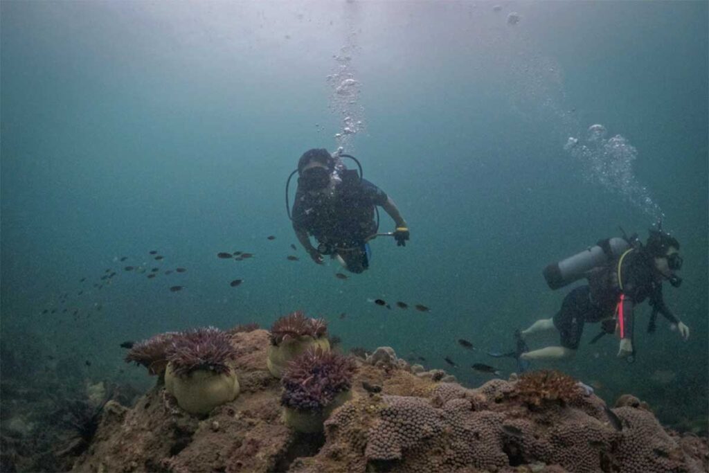 scuba divers exploring coral reef during diving trip in Phu Quoc