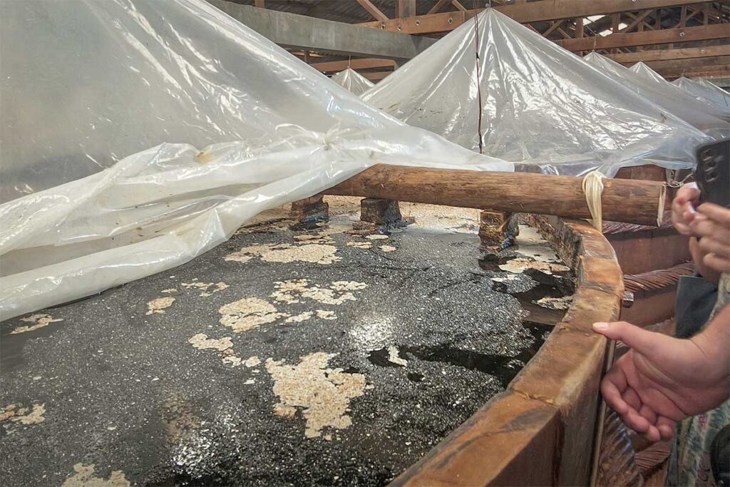 Large wooden fermentation barrels inside a traditional Phu Quoc fish sauce factory used for aging anchovy fish sauce