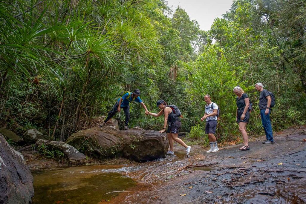 Group of hikers crossing a jungle stream with a guide during a trekking tour in Phu Quoc National Park near Dinh Tien Son Peak