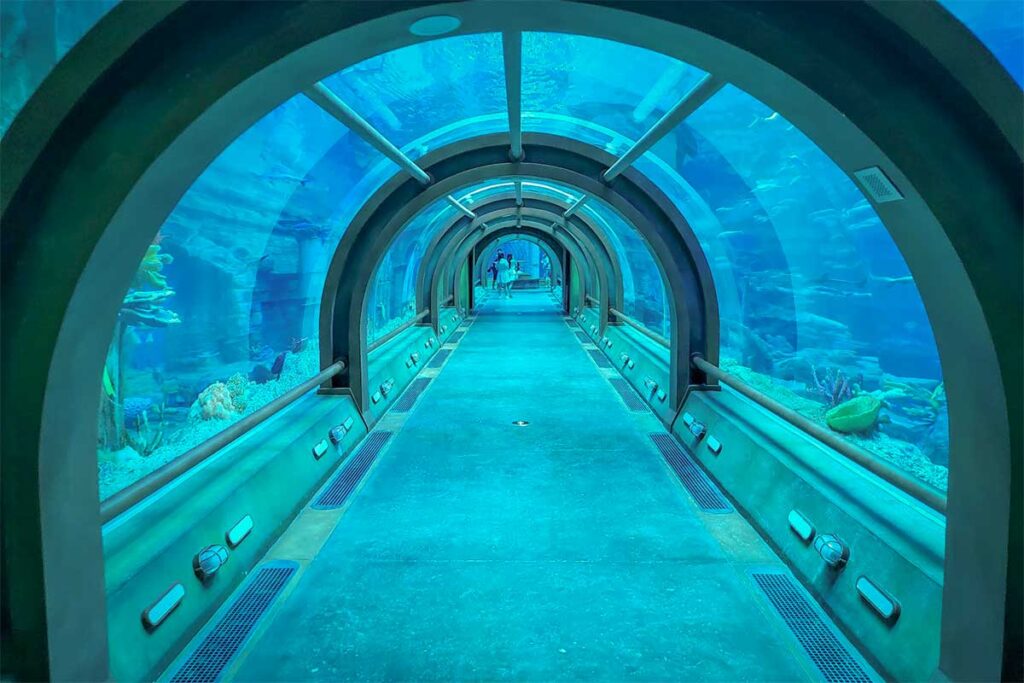 Glass aquarium tunnel at The Sea Shell aquarium in VinWonders Phu Quoc with underwater marine life surrounding the walkway