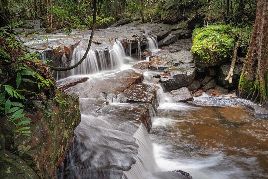 Cascading stream flowing over flat rocks and small waterfalls in the jungle of Phu Quoc National Park, surrounded by moss-covered boulders and dense tropical forest