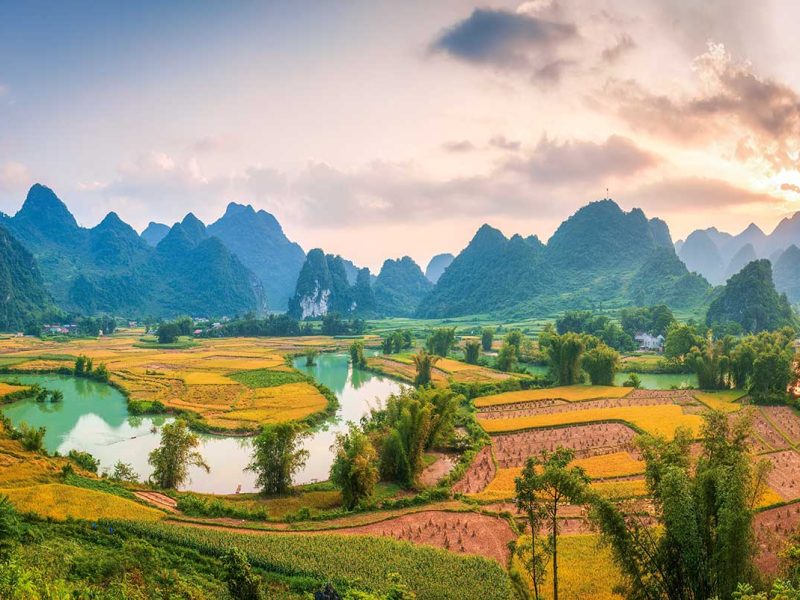 Phong Nam Valley in Autumn – A picturesque view of Phong Nam Valley in autumn, with partially harvested rice fields and clear blue skies, capturing the transition between seasons.