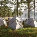 Bidoup National Park tours with camping tents set up among tall pine trees in the highlands