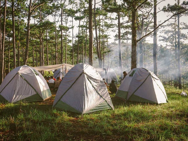 bidoup national park tours 1 Bidoup National Park tours with camping tents set up among tall pine trees in the highlands