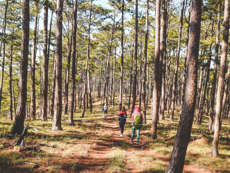 bidoup trekking camping dalat 5 Bidoup trekking & camping