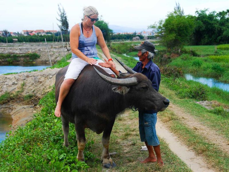 buffalo riding in Hoi An
