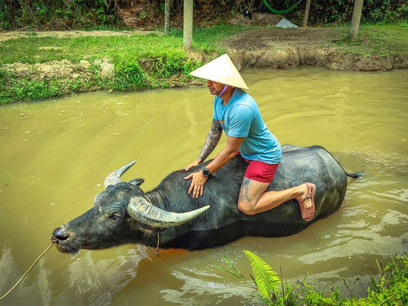 A tourist riding a buffalo through the water at The Duck Stop