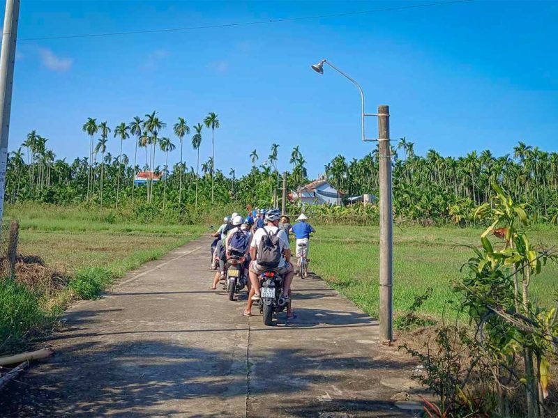 Group of travelers riding motorbikes through Cam Kim Island’s countryside, surrounded by lush fields and palm trees.